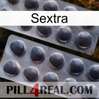 Sextra 31